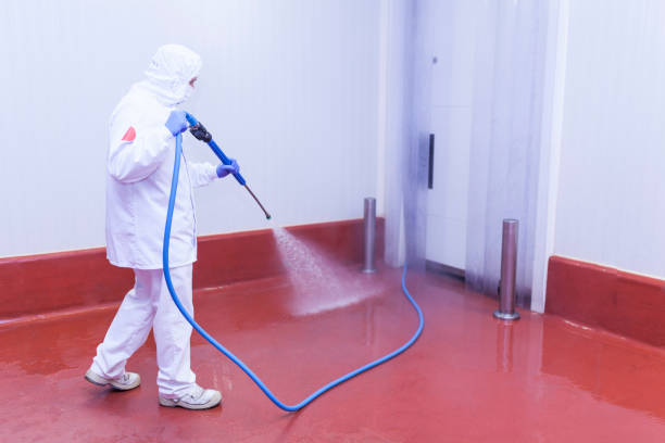 Best Heavy Equipment Washing  in Port Huron, MI